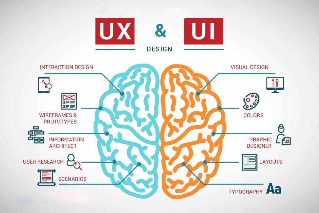 UI/UX Design